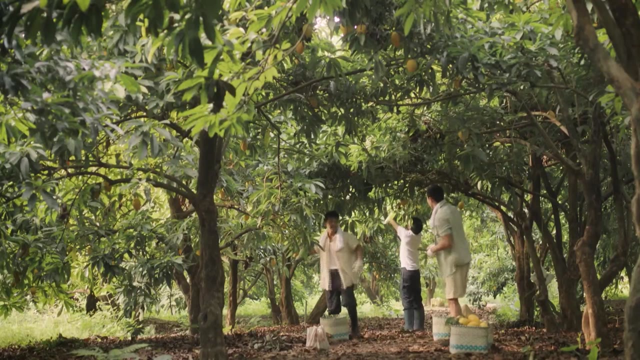 Cửa Hàng Tạp Hóa - cảnh 2