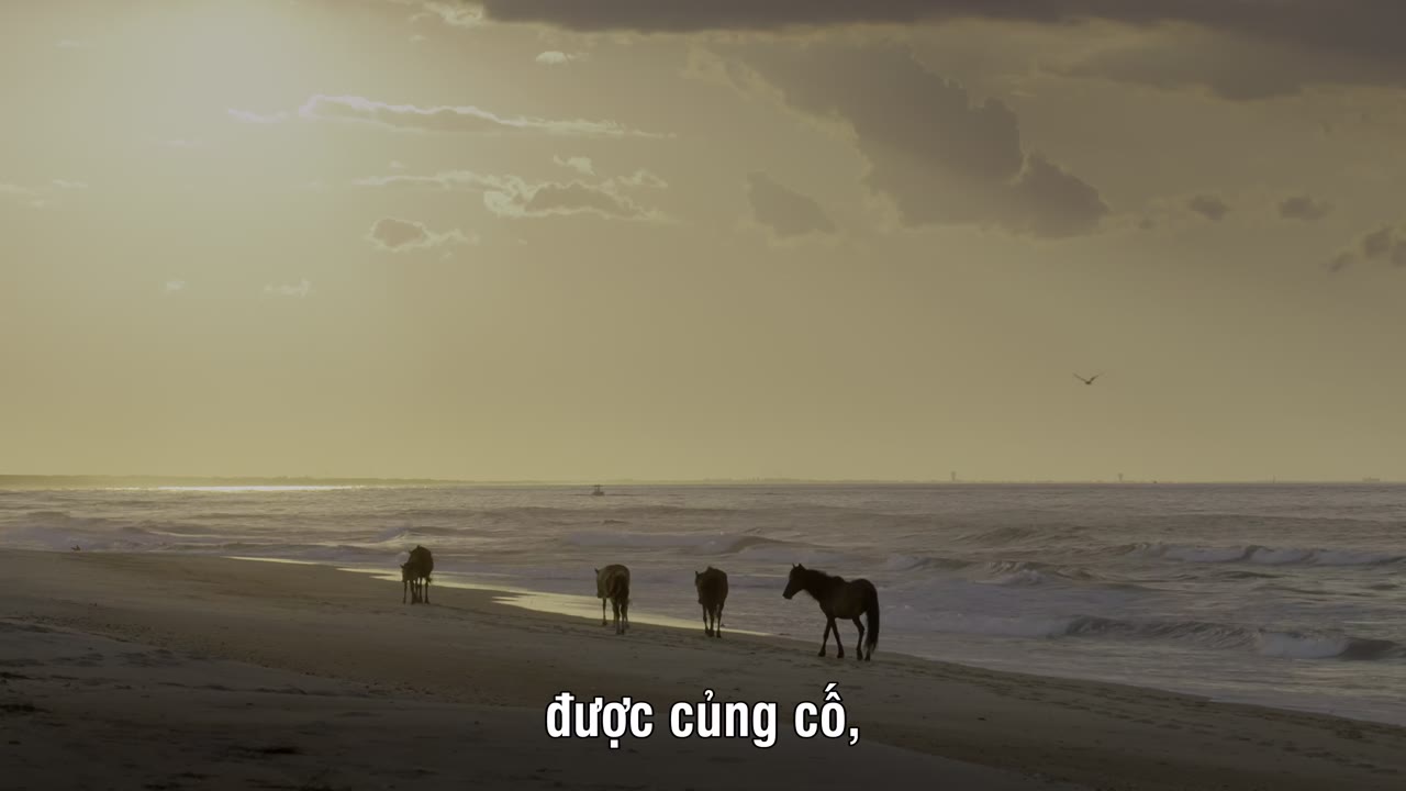 The Americas - cảnh 1