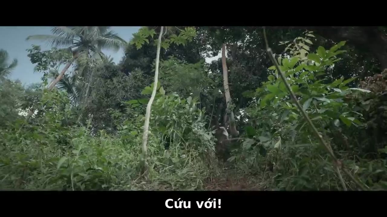 Rừng Trinh Nữ - cảnh 3