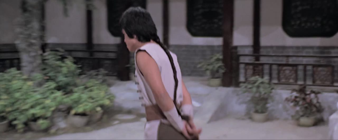 Thiếu Lâm Và Võ Đang - cảnh 3