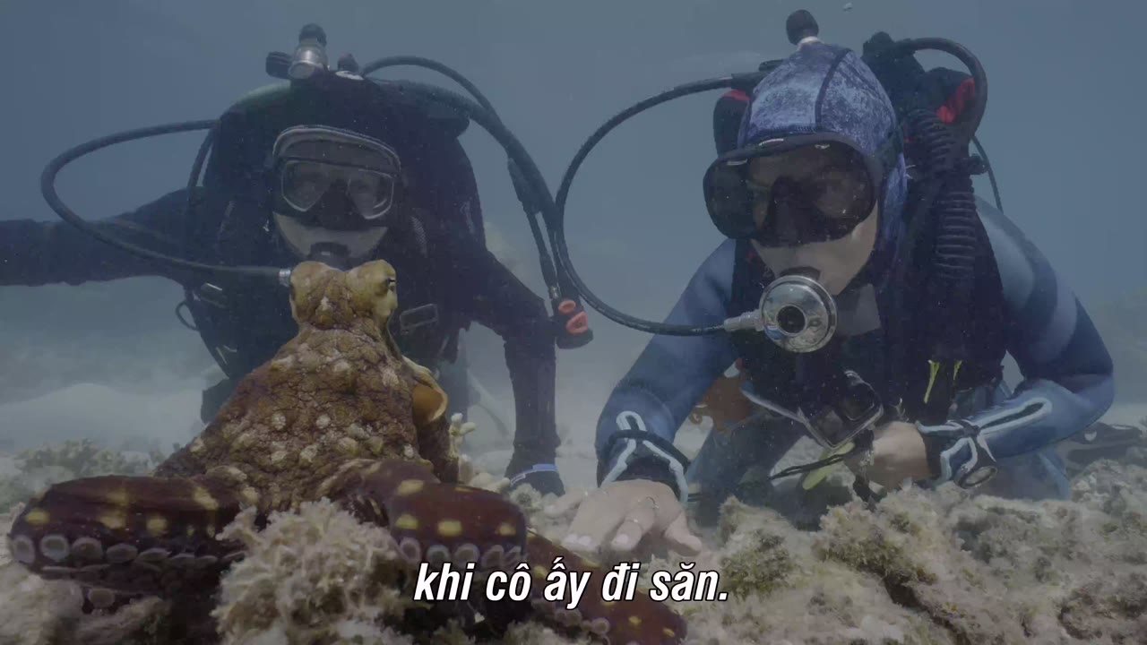 Đại trượng phu nhật kí - cảnh 2