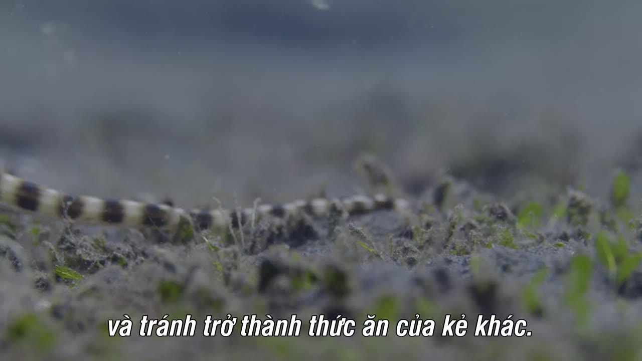 Đại trượng phu nhật kí - cảnh 3