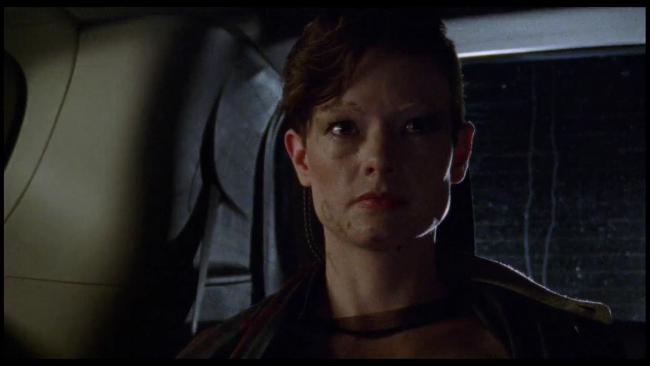 Black Eyed Susan - cảnh 2