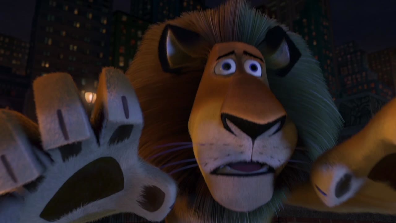 Madagascar tập 1