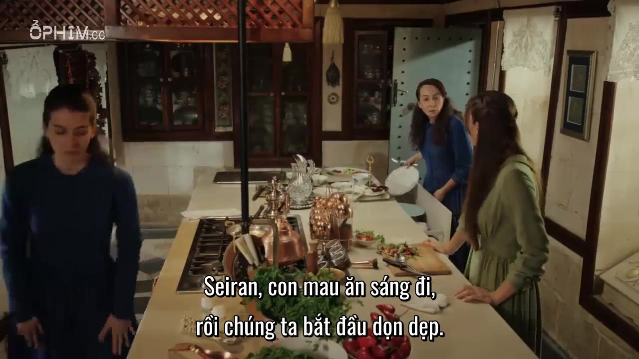 Chim Bói Cá - cảnh 1