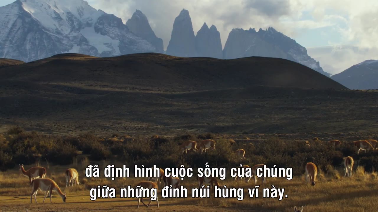 The Wild Andes - cảnh 2