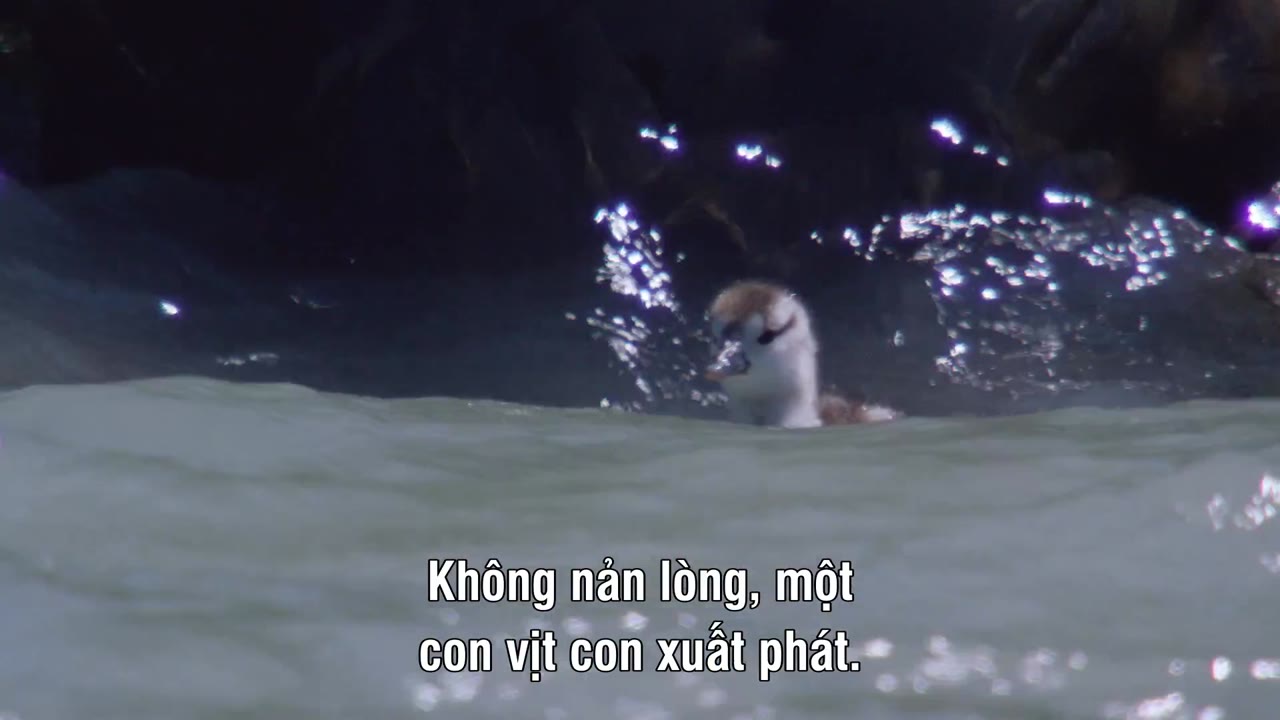 The Wild Andes - cảnh 3