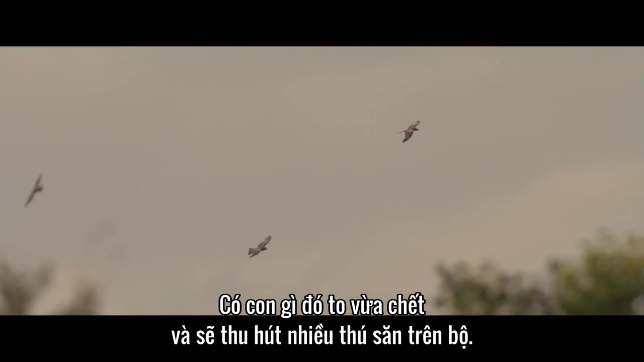 Lãnh địa của nhà Lawson - cảnh 1