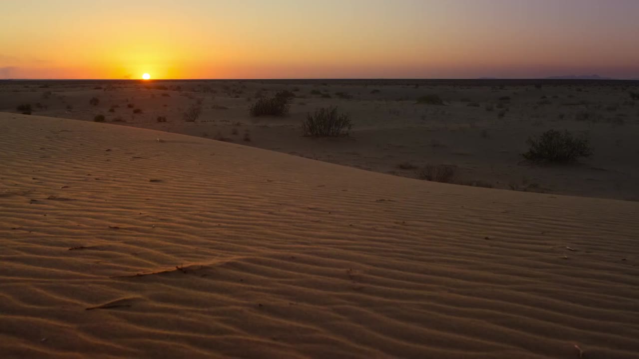 David Attenborough: Thế giới bí mật của âm thanh - cảnh 2