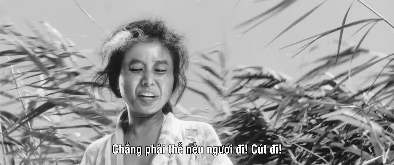 Onibaba - cảnh 2