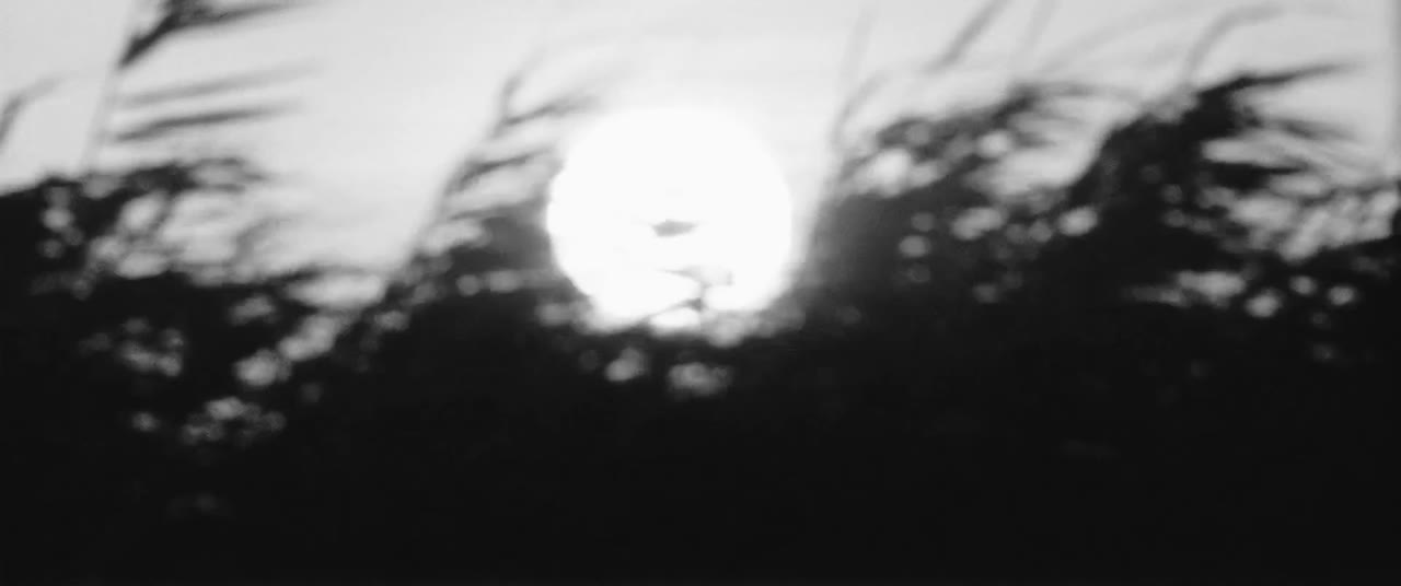 Onibaba - cảnh 3