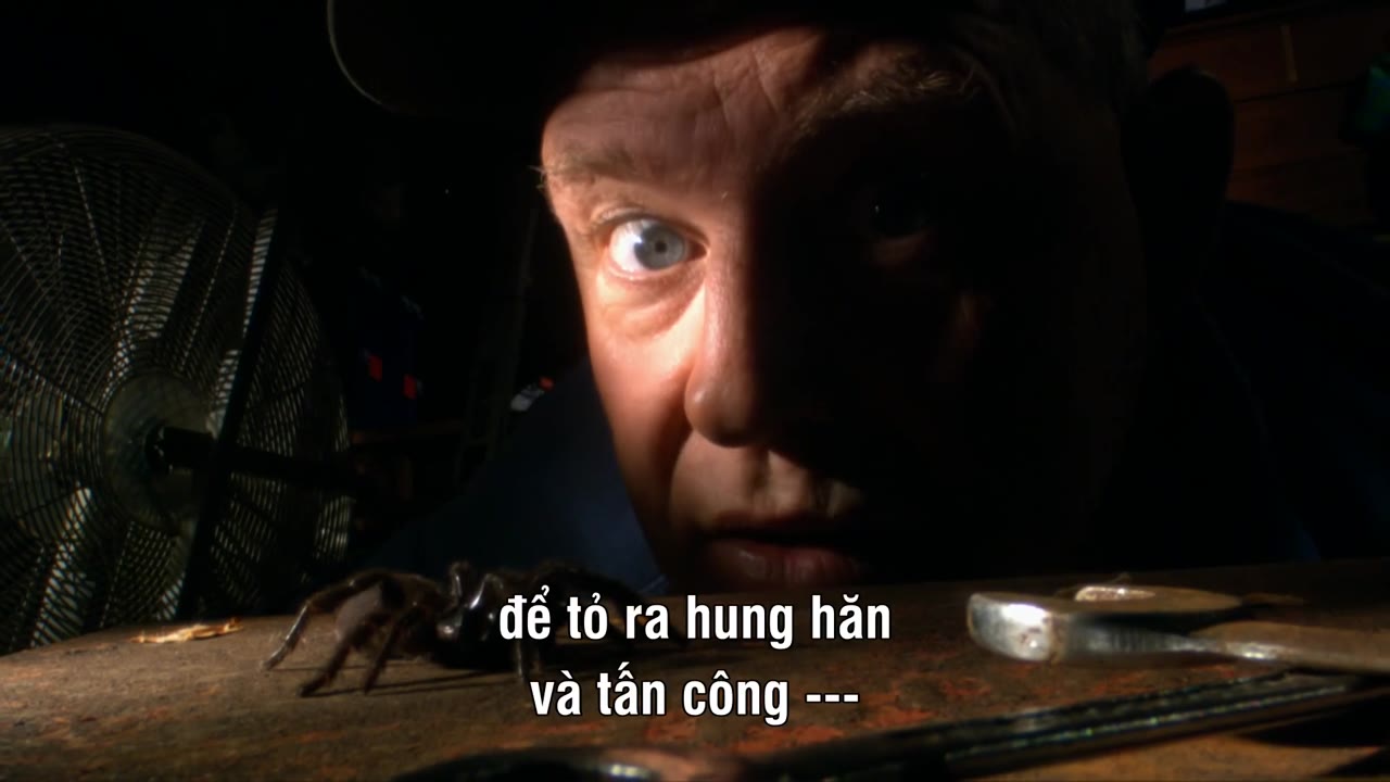 Thế Giới Côn Trùng Khổng Lồ và Nguy Hiểm - cảnh 3