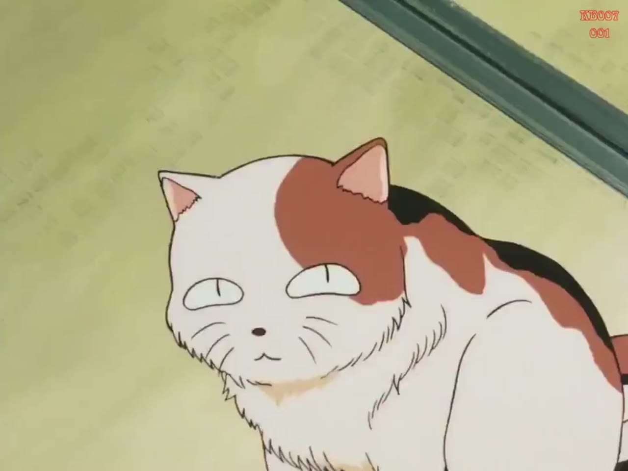 Sengoku Otogizōshi InuYasha - cảnh 1