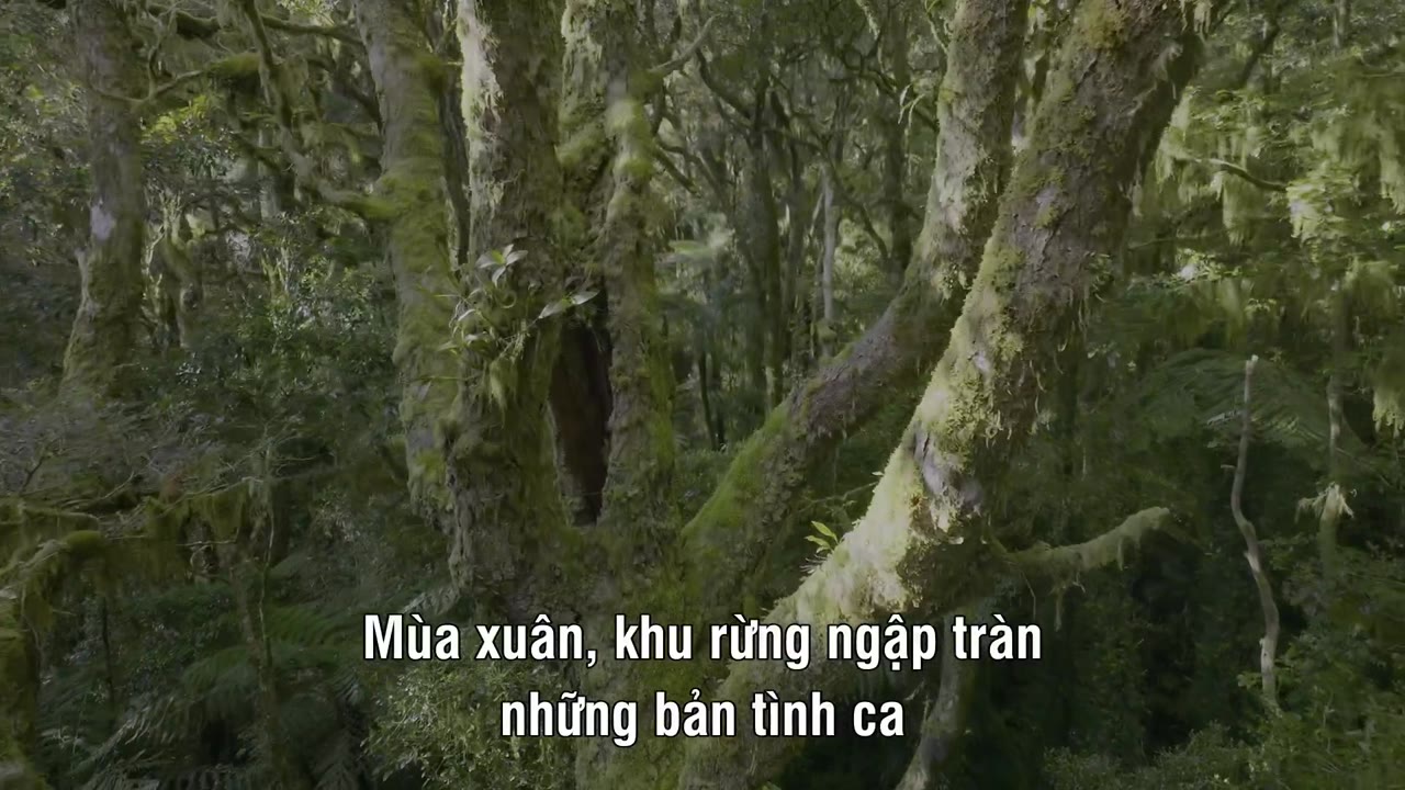 Âm Thanh Của Trái Đất – Earthsounds - cảnh 1
