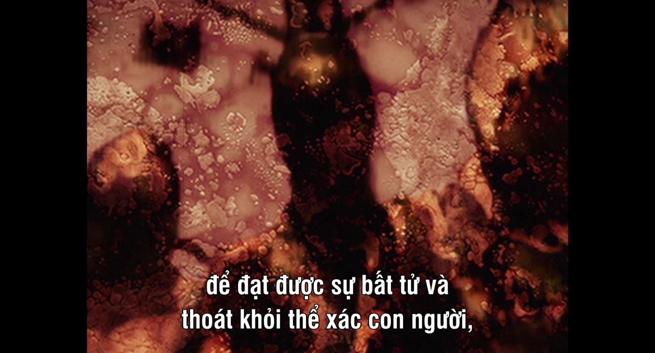The Taking of Deborah Logan - cảnh 2