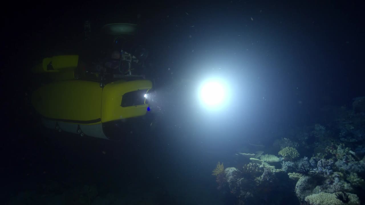 Khám Phá Rạn San Hô Great Barrier cùng David Attenborough - cảnh 1