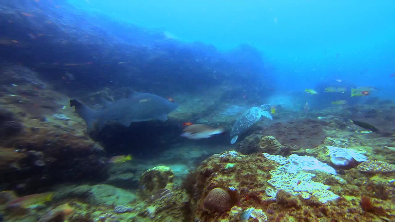 OceanWorld 3D - cảnh 1