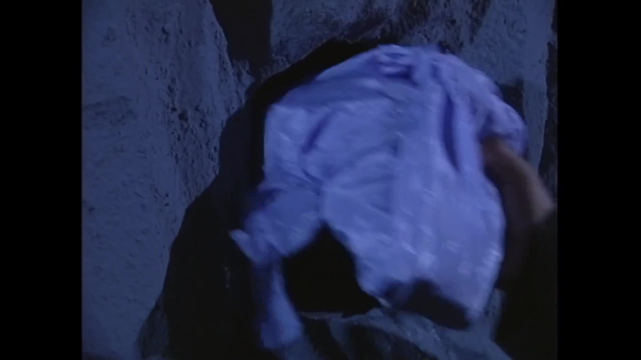 Phi Hổ 1 - cảnh 3