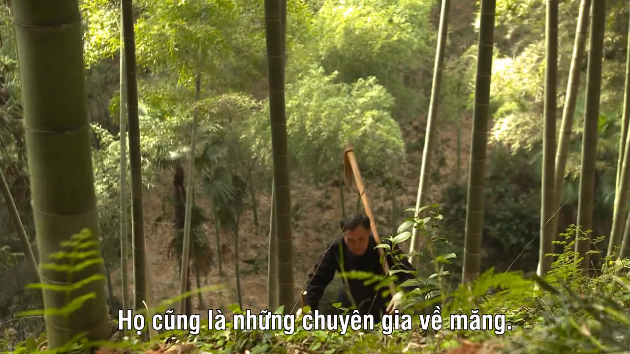 A Bite of China - cảnh 1