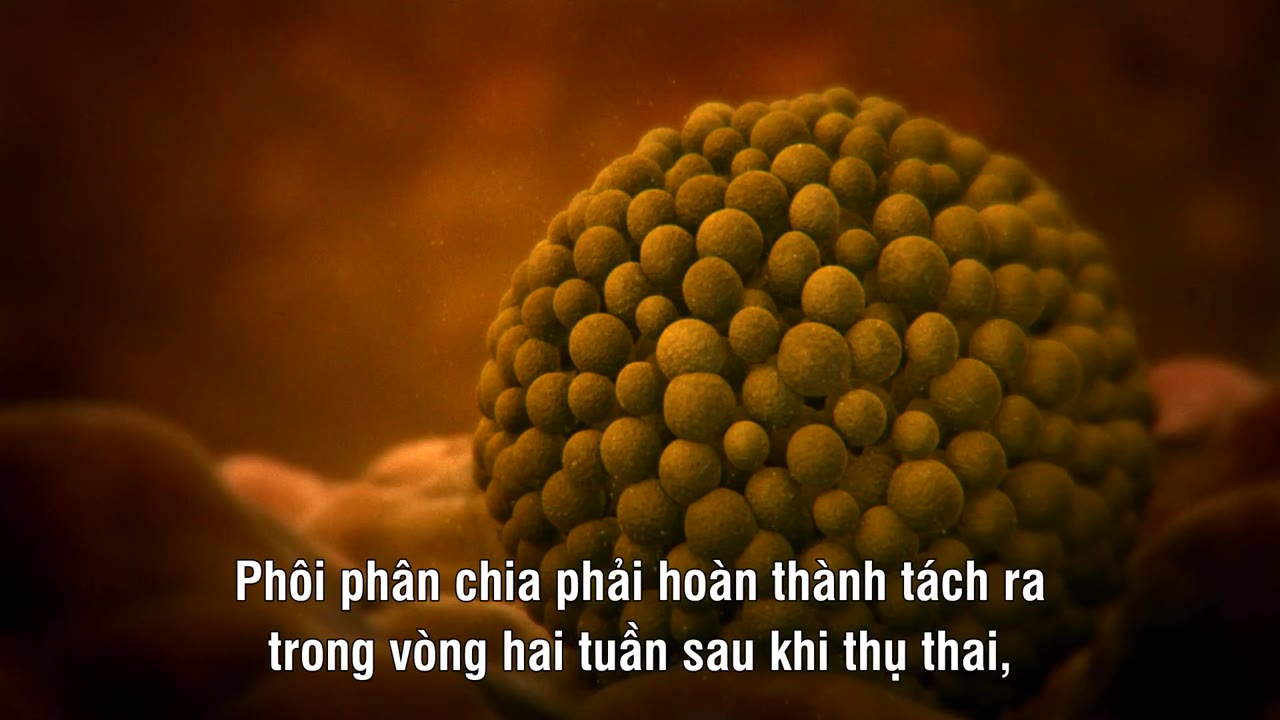 Inside the Human Body - cảnh 2