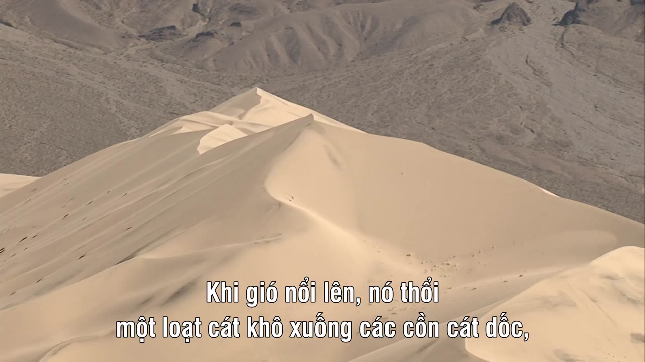 Châu Mỹ Hoang Dã - cảnh 3