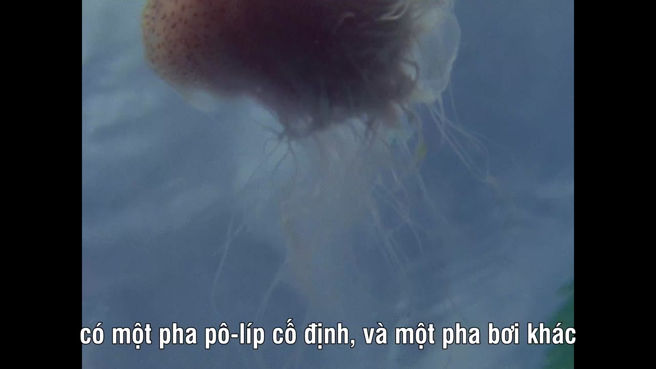 Life on Earth - cảnh 3