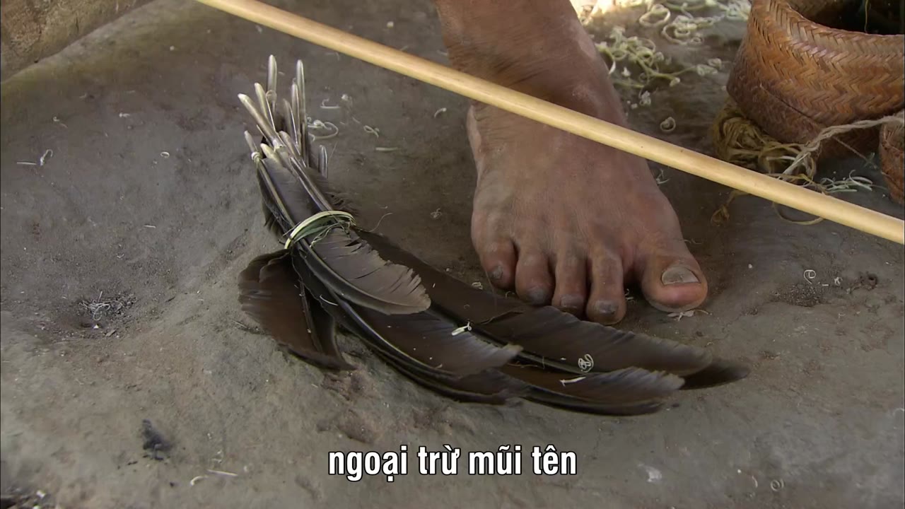 Tears in the Amazon - cảnh 2