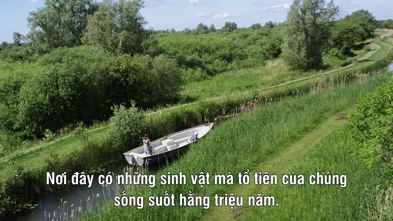 Chinh Phục Bầu Trời - cảnh 1