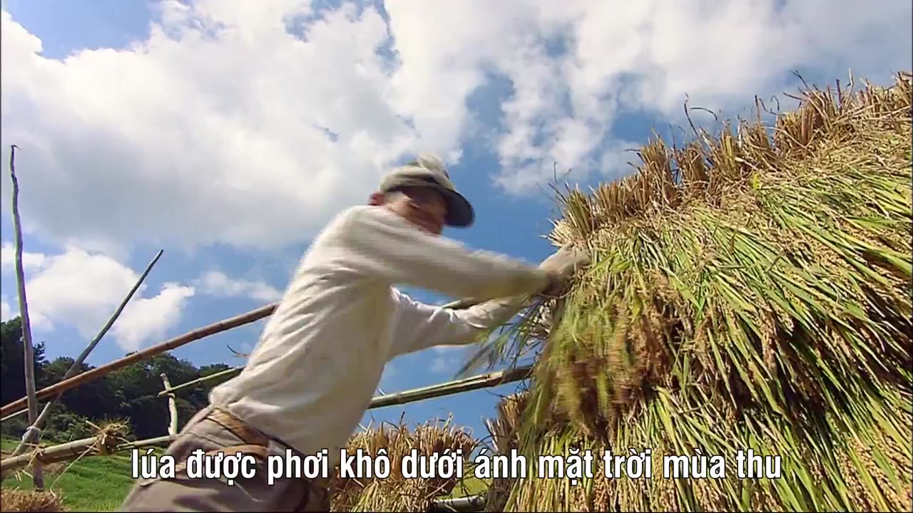 SATOYAMA: Khu Vườn Thủy Sinh Tuyệt Vời - cảnh 2