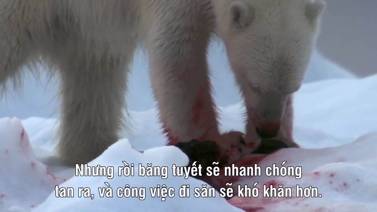 Nature’s Great Events - cảnh 2