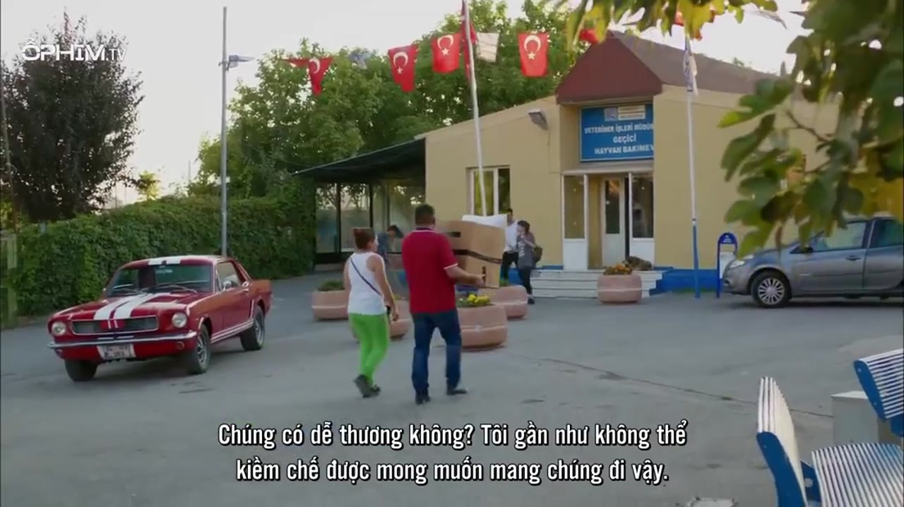 Dolunay tập 2