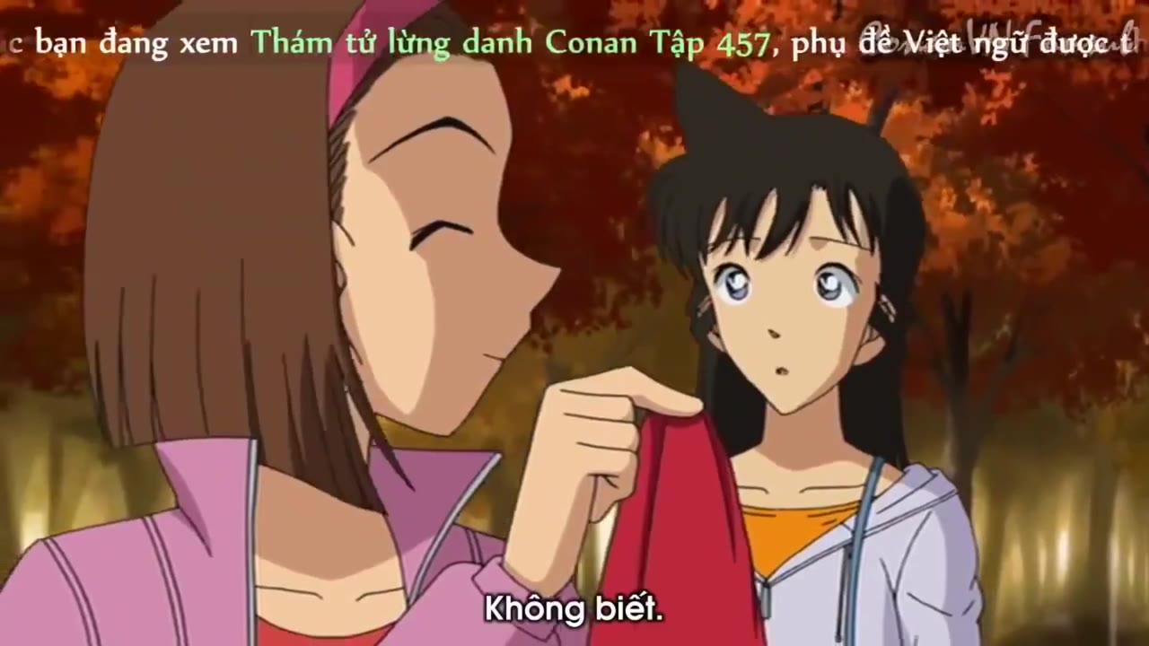 Thám Tử Lừng Danh Conan tập 457