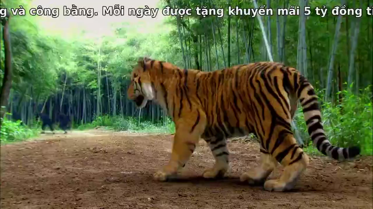 Hoa Tư Dẫn - cảnh 1