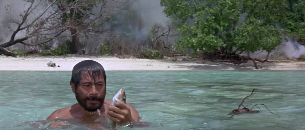 Hell in the Pacific - cảnh 1