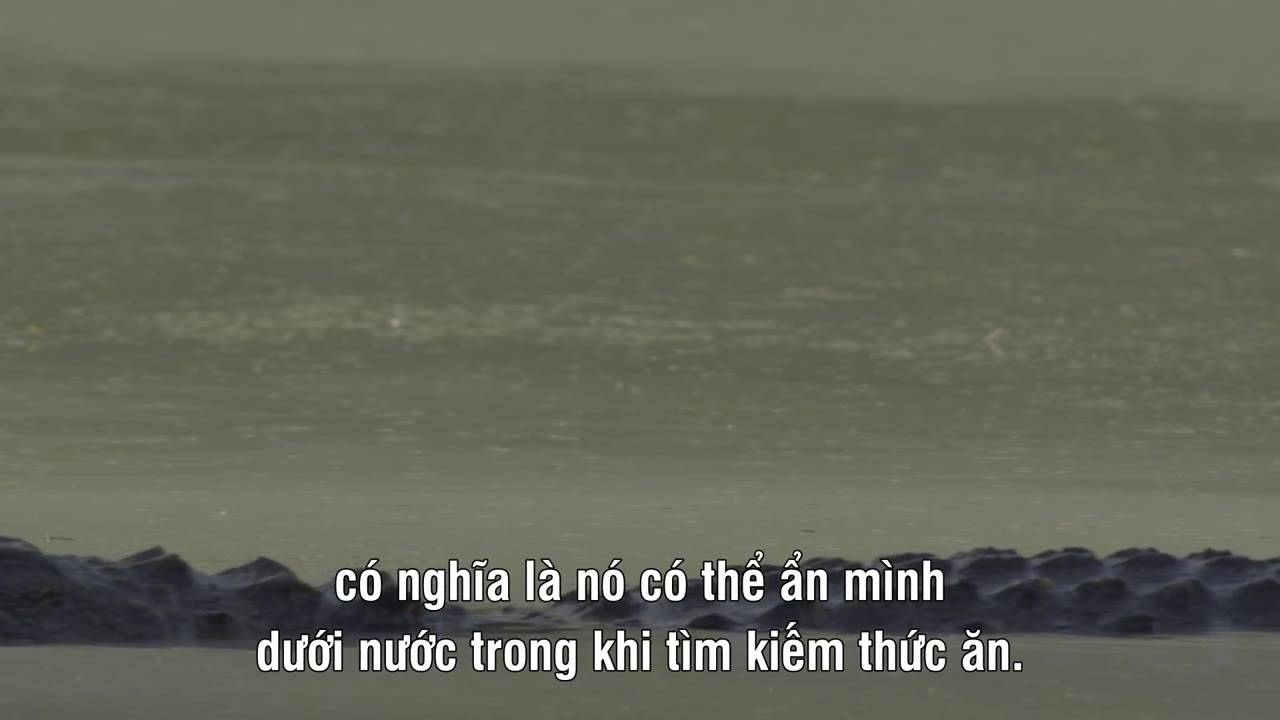 America the Beautiful - cảnh 1
