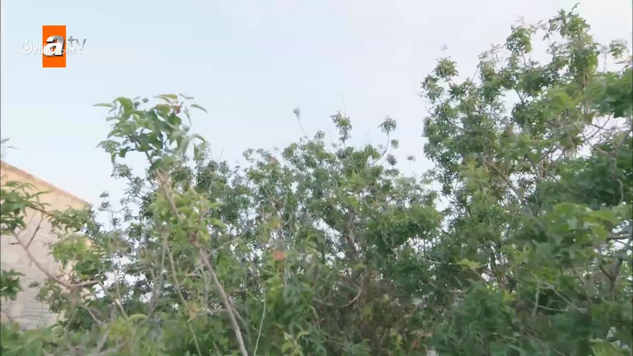 Mẹ Kế - cảnh 2