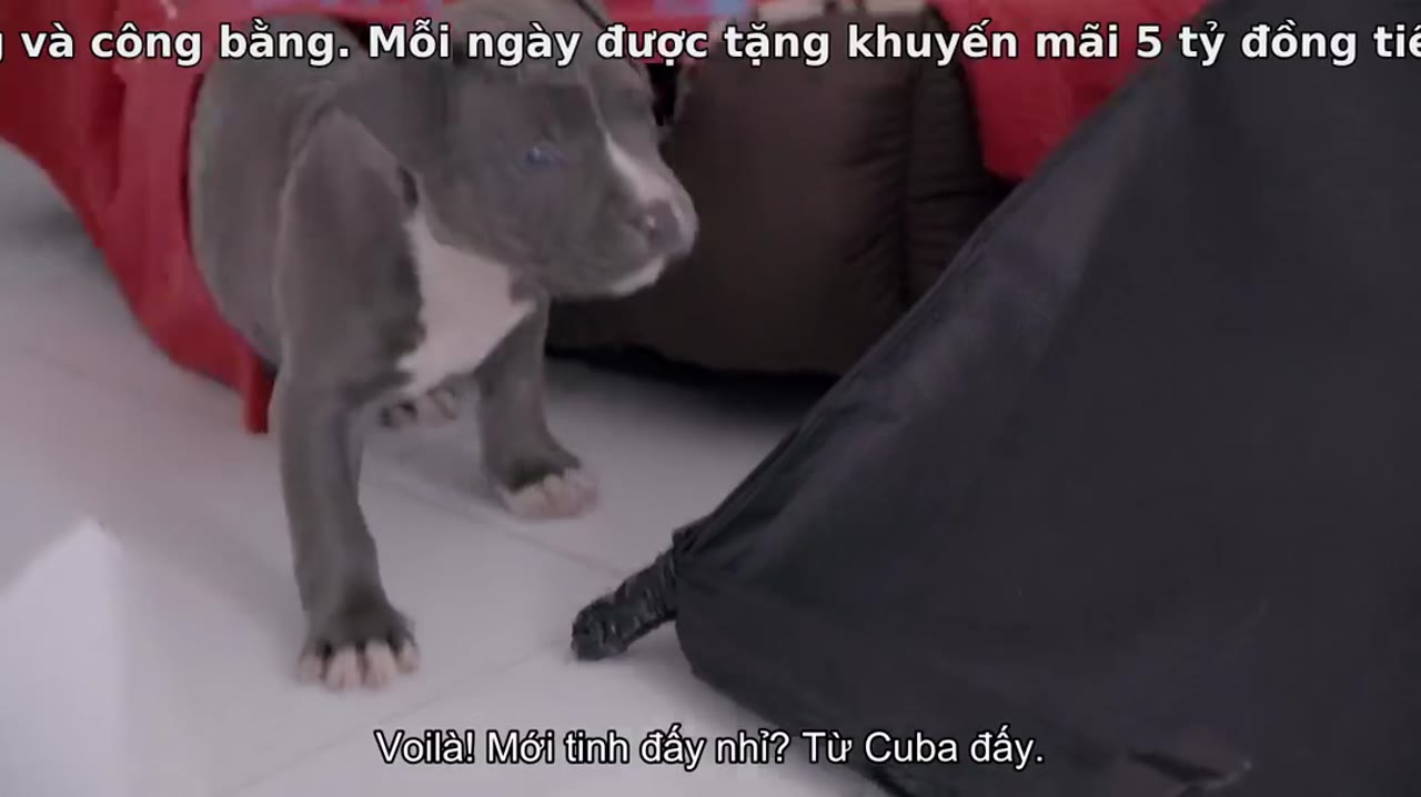 Cần tuyển chân dài: Mời gọi tập 4