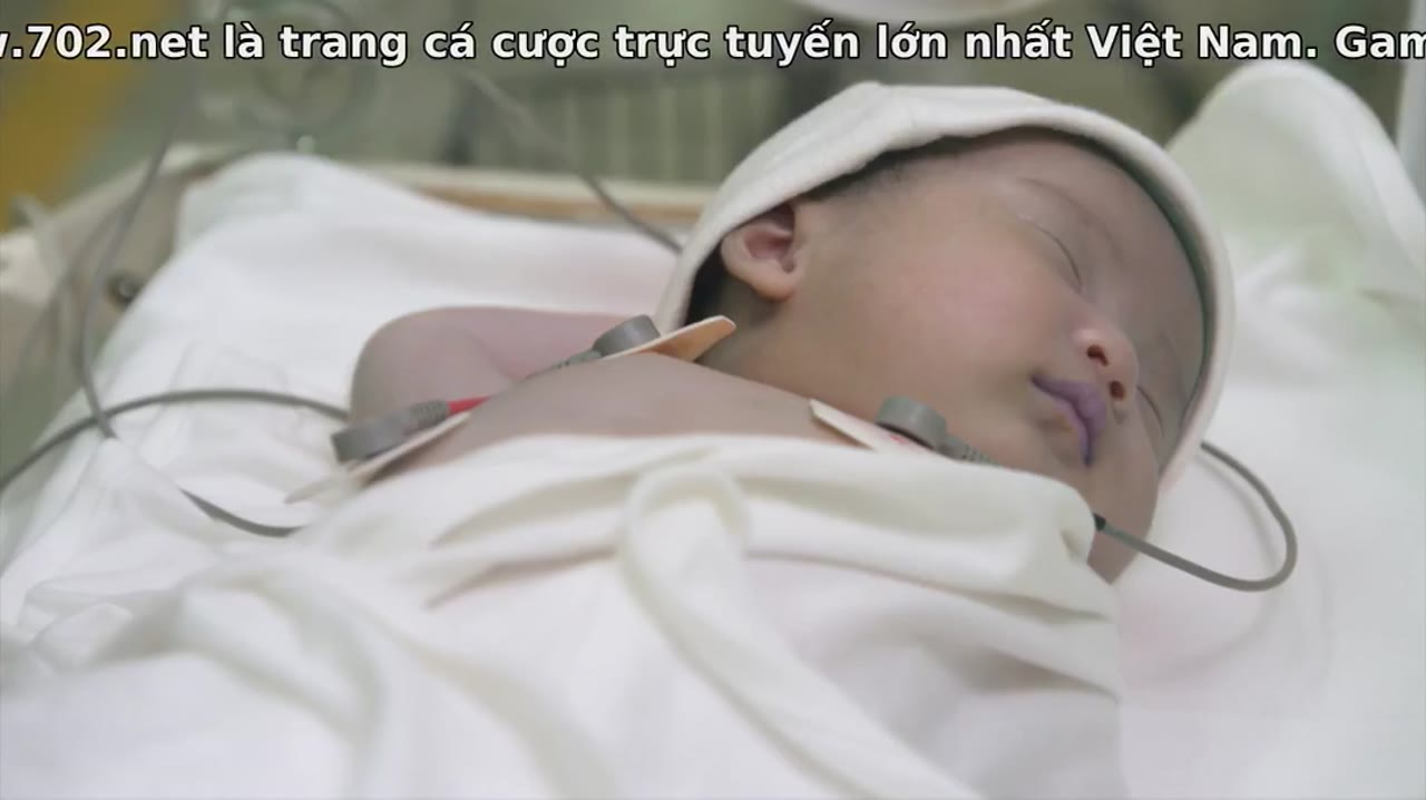 Sự Trả Thù Hoàn Hảo - cảnh 1