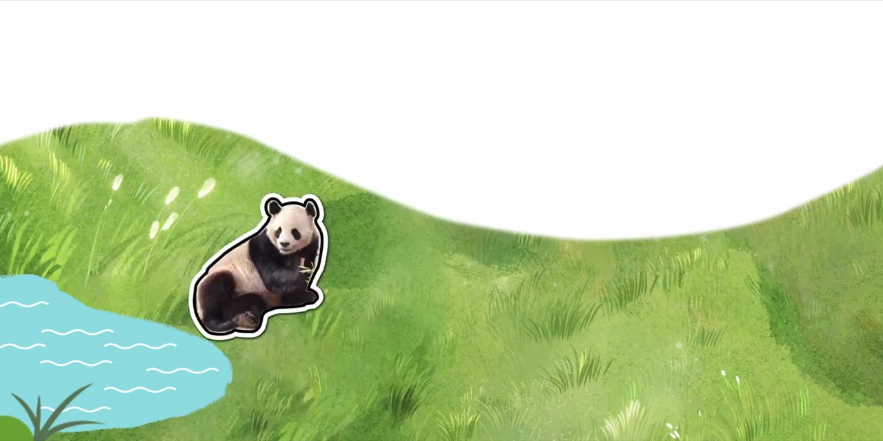 Gấu Trúc Và Bạn, Lăn Đến Đây! tập 17 cảnh 3