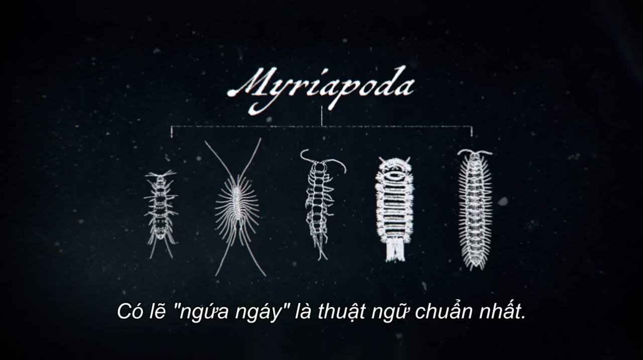 Thợ săn quái vật: Bách khoa quái thú (Phần 2) - cảnh 2