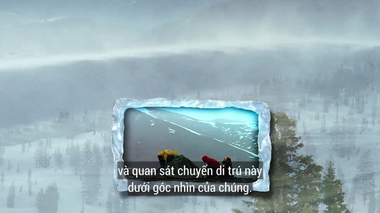 Hành Trình Đến Bắc Cực - cảnh 2