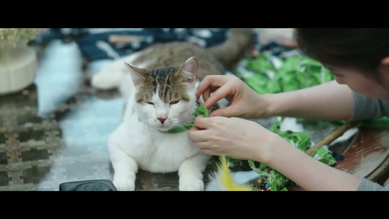 Đi Đến Nơi Có Gió tập 5