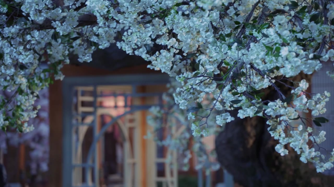 Kim Tịch Hà Tịch tập 35