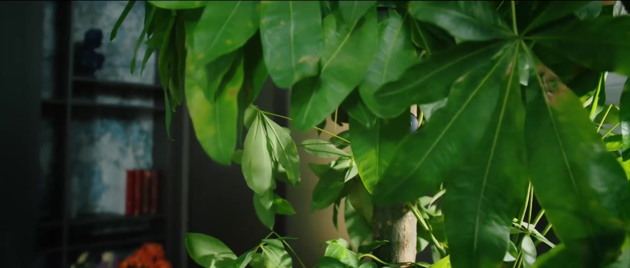 Cô Ấy Trong Đêm Tối tập 10