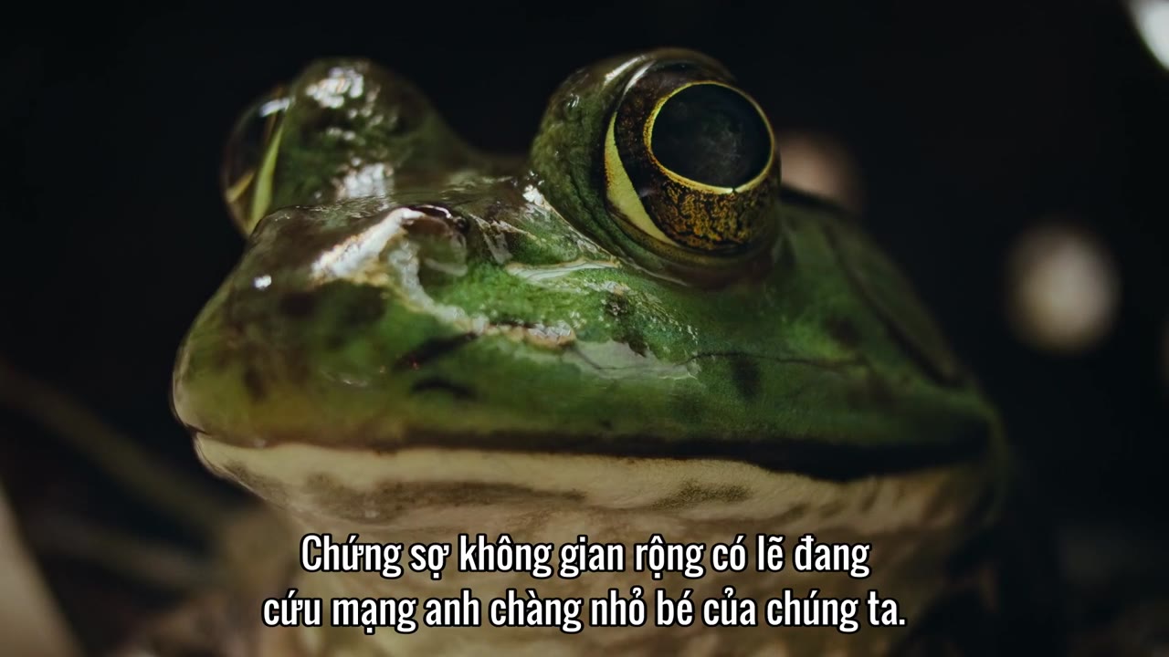 Ác Mộng Của Thiên Nhiên tập 2