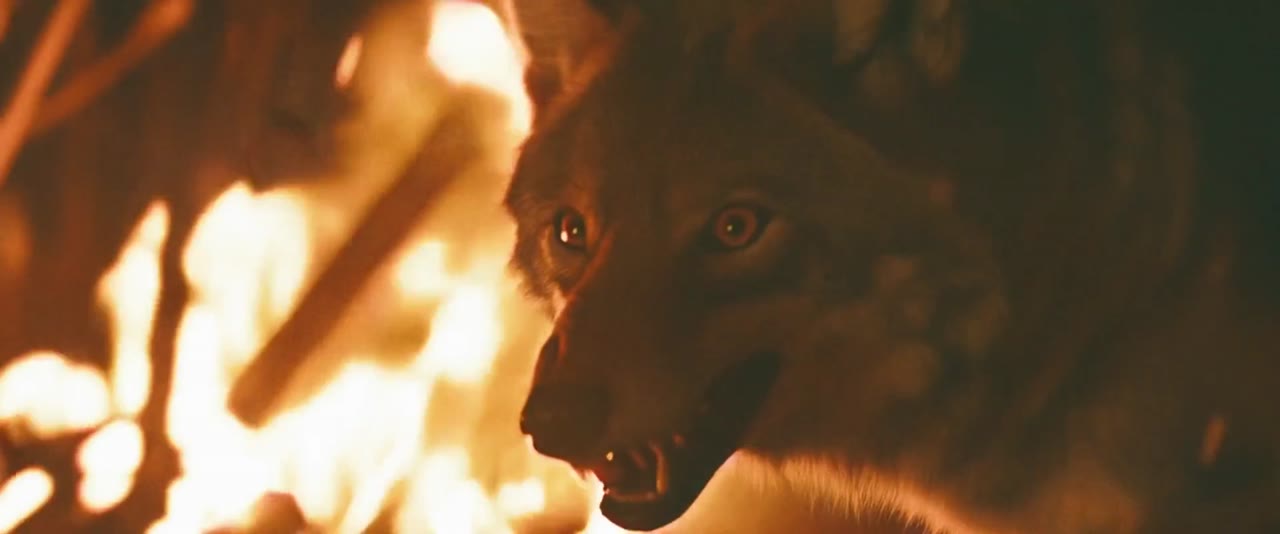 Coyotes tập 1 cảnh 3