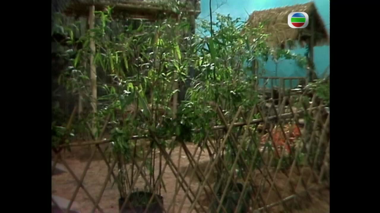 Đạt Ma Sư Tổ tập 16 cảnh 2