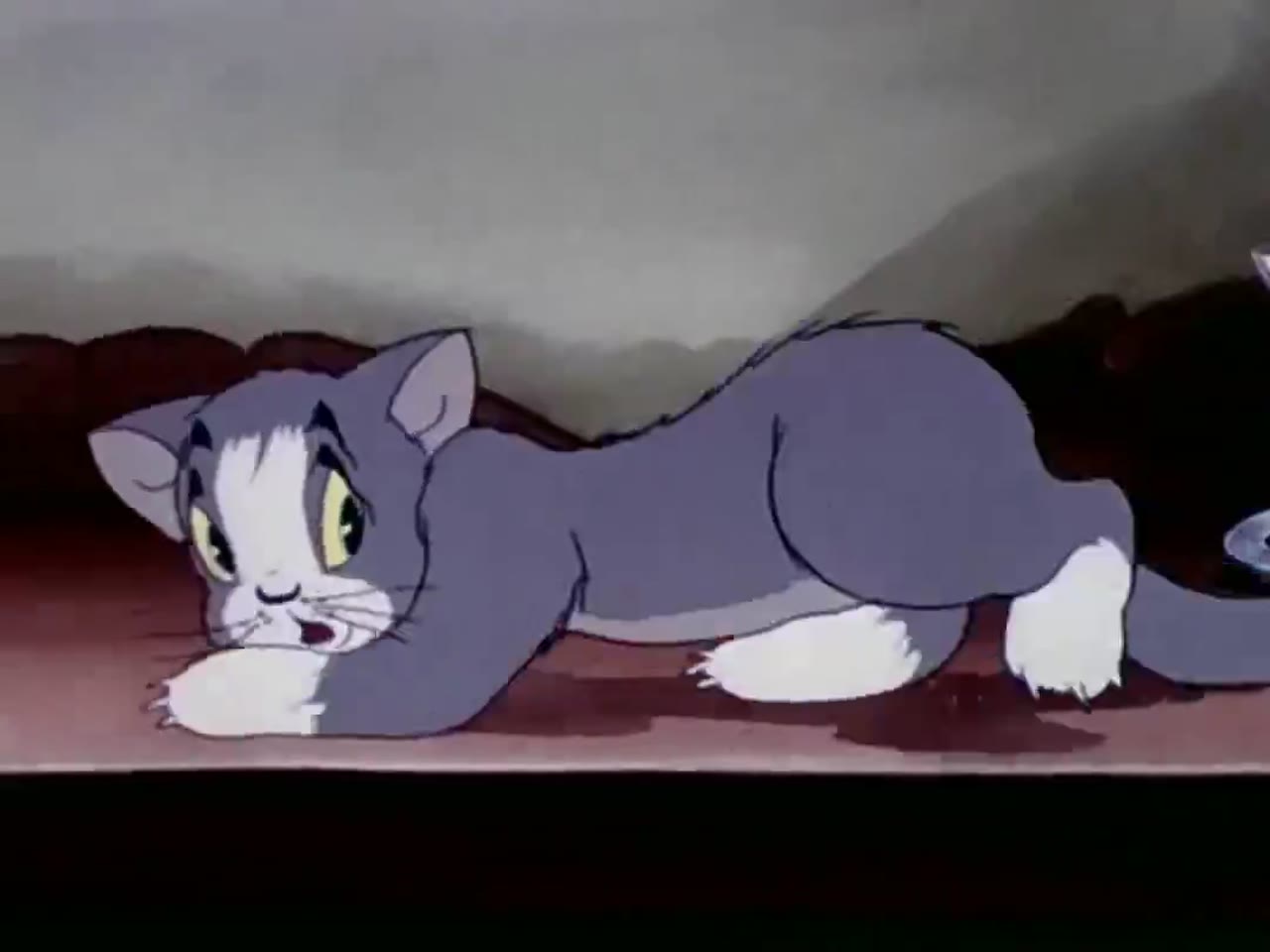 Tom và Jerry - cảnh 2