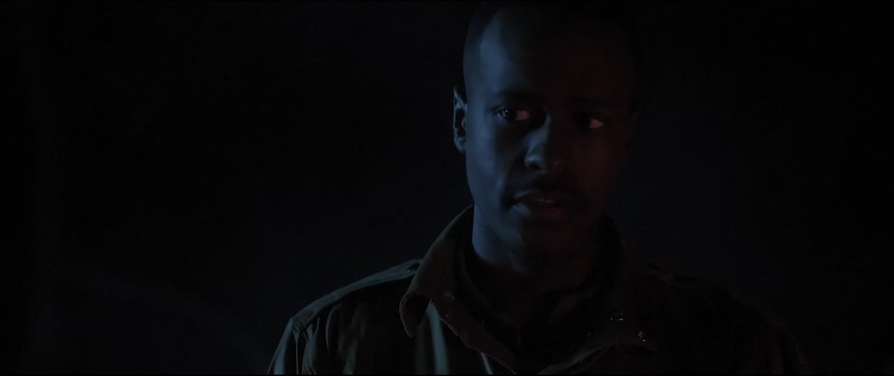 Black Panthers of WWII - cảnh 2
