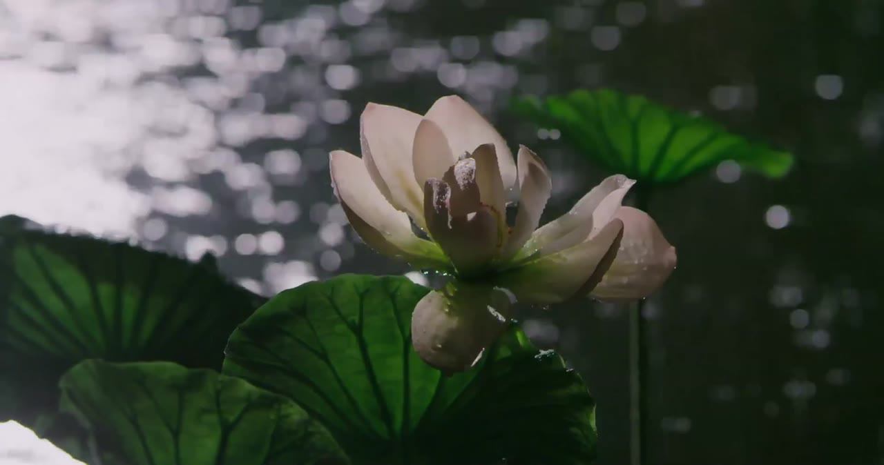 Phương Đại Trù tập 17